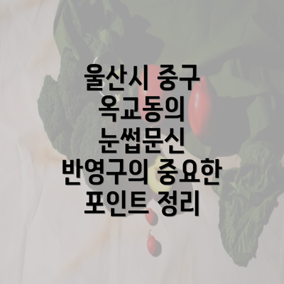 울산시 중구 옥교동의 눈썹문신 반영구의 중요한 포인트 정리