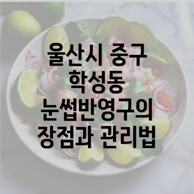 울산시 중구 학성동 눈썹반영구의 장점과 관리법