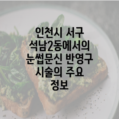 인천시 서구 석남2동에서의 눈썹문신 반영구 시술의 주요 정보