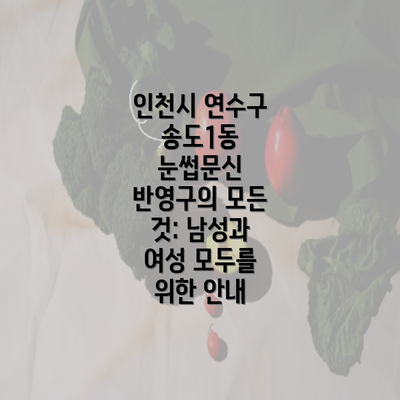 인천시 연수구 송도1동 눈썹문신 반영구의 모든 것: 남성과 여성 모두를 위한 안내