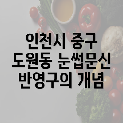 인천시 중구 도원동 눈썹문신 반영구의 개념