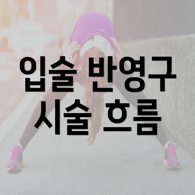 입술 반영구 시술 흐름