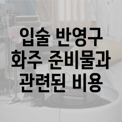 입술 반영구 화주 준비물과 관련된 비용