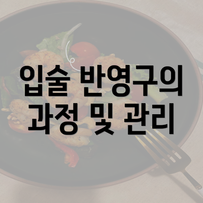 입술 반영구의 과정 및 관리