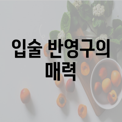 입술 반영구의 매력