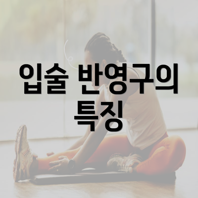 입술 반영구의 특징