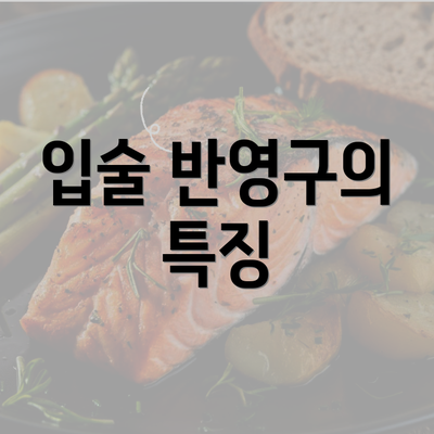 입술 반영구의 특징