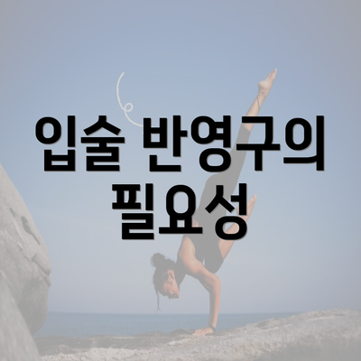 입술 반영구의 필요성