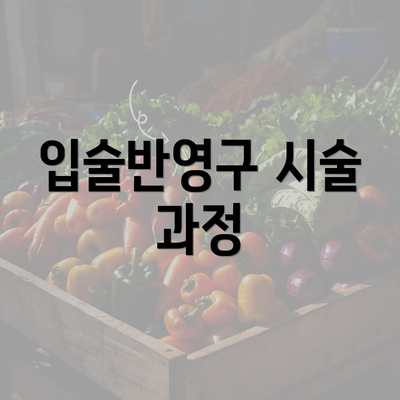 입술반영구 시술 과정