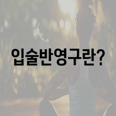 입술반영구란?