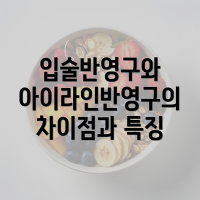 입술반영구와 아이라인반영구의 차이점과 특징