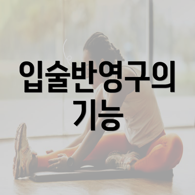 입술반영구의 기능