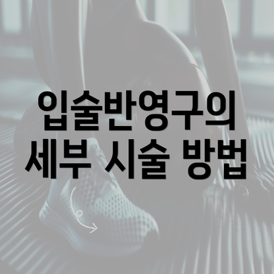 입술반영구의 세부 시술 방법