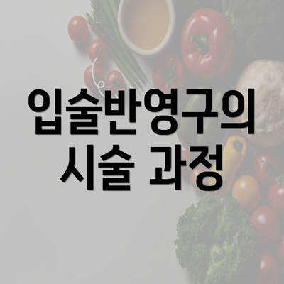 입술반영구의 시술 과정