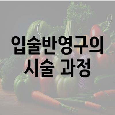 입술반영구의 시술 과정