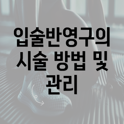 입술반영구의 시술 방법 및 관리