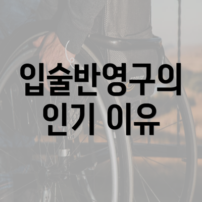 입술반영구의 인기 이유