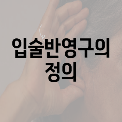 입술반영구의 정의