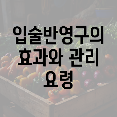 입술반영구의 효과와 관리 요령