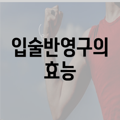 입술반영구의 효능