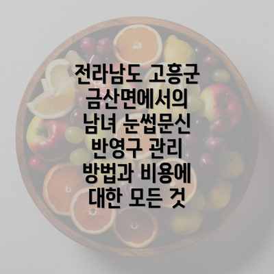 전라남도 고흥군 금산면에서의 남녀 눈썹문신 반영구 관리 방법과 비용에 대한 모든 것