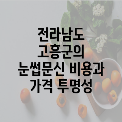 전라남도 고흥군의 눈썹문신 비용과 가격 투명성