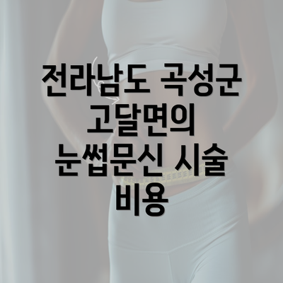 전라남도 곡성군 고달면의 눈썹문신 시술 비용