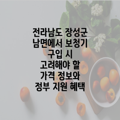 전라남도 장성군 남면에서 보청기 구입 시 고려해야 할 가격 정보와 정부 지원 혜택