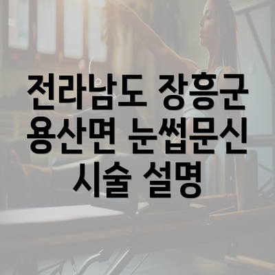 전라남도 장흥군 용산면 눈썹문신 시술 설명