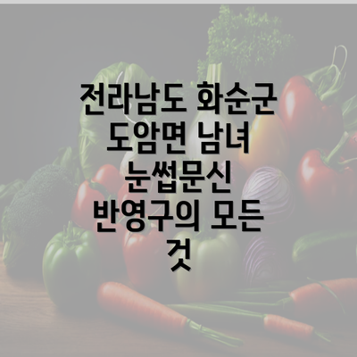 전라남도 화순군 도암면 남녀 눈썹문신 반영구의 모든 것