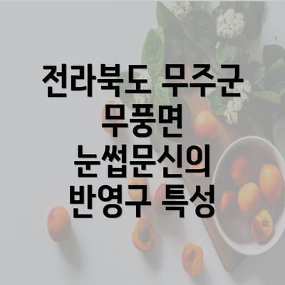 전라북도 무주군 무풍면 눈썹문신의 반영구 특성