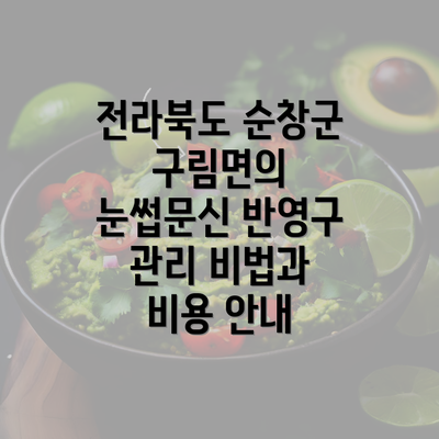 전라북도 순창군 구림면의 눈썹문신 반영구 관리 비법과 비용 안내