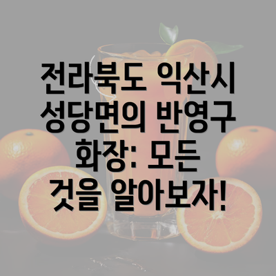 전라북도 익산시 성당면의 반영구 화장: 모든 것을 알아보자!