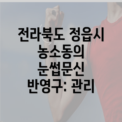 전라북도 정읍시 농소동의 눈썹문신 반영구: 관리