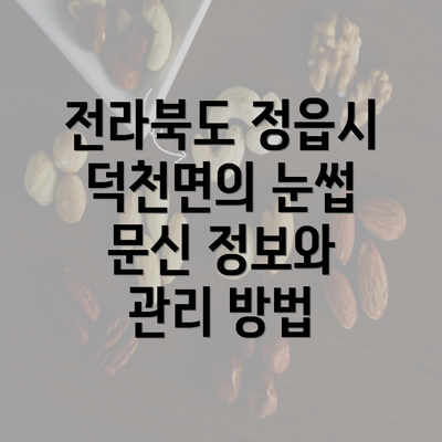 전라북도 정읍시 덕천면의 눈썹 문신 정보와 관리 방법