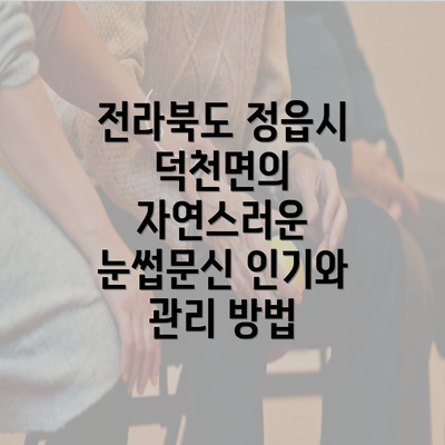 전라북도 정읍시 덕천면의 자연스러운 눈썹문신 인기와 관리 방법