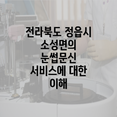 전라북도 정읍시 소성면의 눈썹문신 서비스에 대한 이해