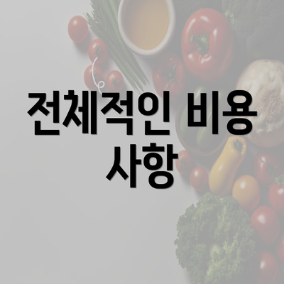 전체적인 비용 사항