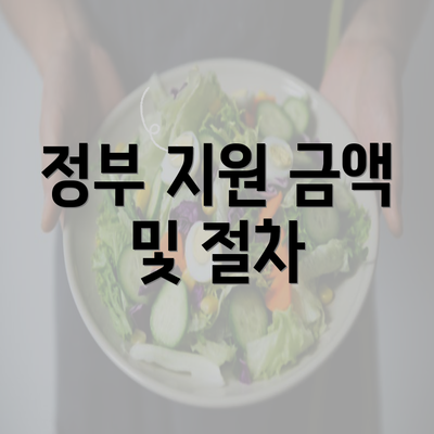 정부 지원 금액 및 절차