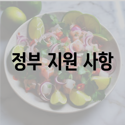 정부 지원 사항