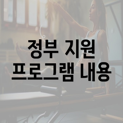 정부 지원 프로그램 내용