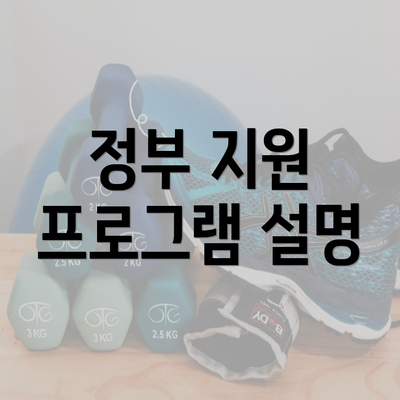 정부 지원 프로그램 설명