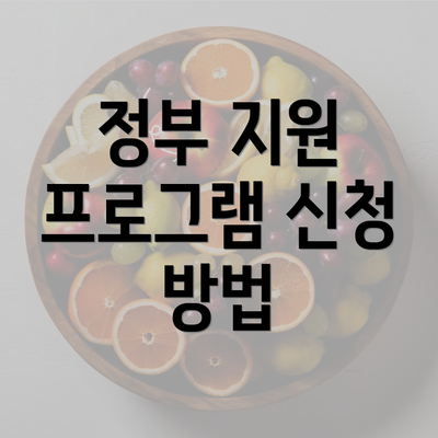 정부 지원 프로그램 신청 방법