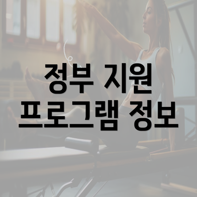 정부 지원 프로그램 정보