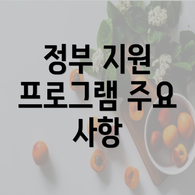 정부 지원 프로그램 주요 사항