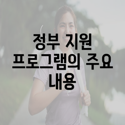 정부 지원 프로그램의 주요 내용
