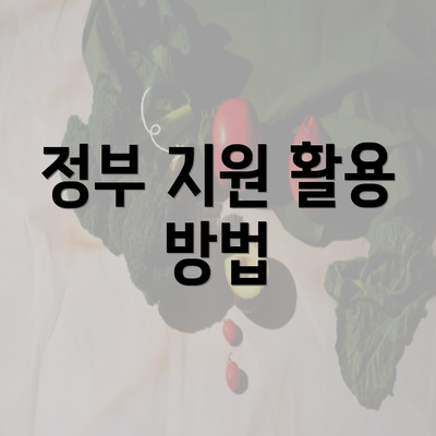 정부 지원 활용 방법