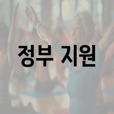 정부 지원