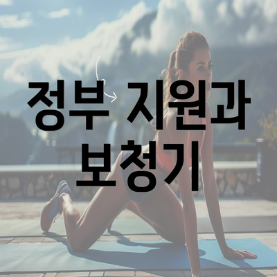 정부 지원과 보청기