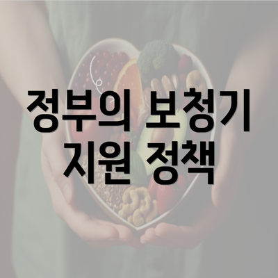 정부의 보청기 지원 정책